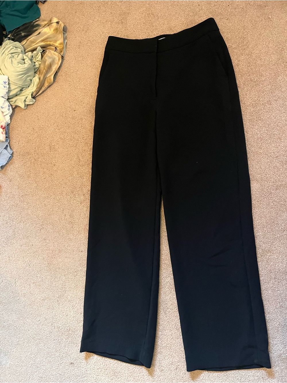 Aritzia women’s dress pants